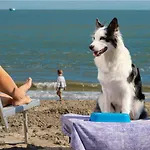 Vakantiehuis Albarella Albarella Island