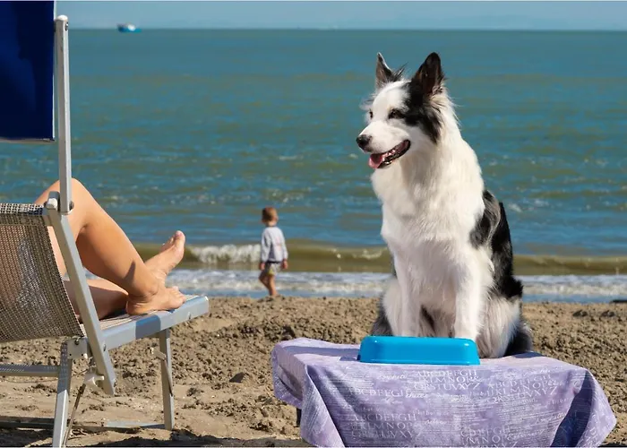 Dom wakacyjny Albarella Albarella Island